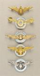 Argentina  Lot of 5 aviator swings.  Various, mostly enamelled.  Condition: II    Starting price: 70