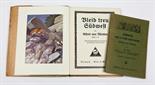 2 Bücher Südwest  dabei *Südwest, wie's lacht und weint.* Eindrücke u. Ausblicke von Ph. Kuhn,