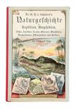 Naturgeschichte der Reptilien, Amphibien, Fische Insekten, Krebse, Würmer, Weichtiere,