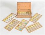 A rare collection of thirty six photographic microscope slides, on six trays of six, mostly by J.