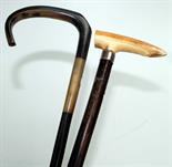 A bamboo walking stick with late Victorian silver collar and ivory handle, maker's mark E.N.,