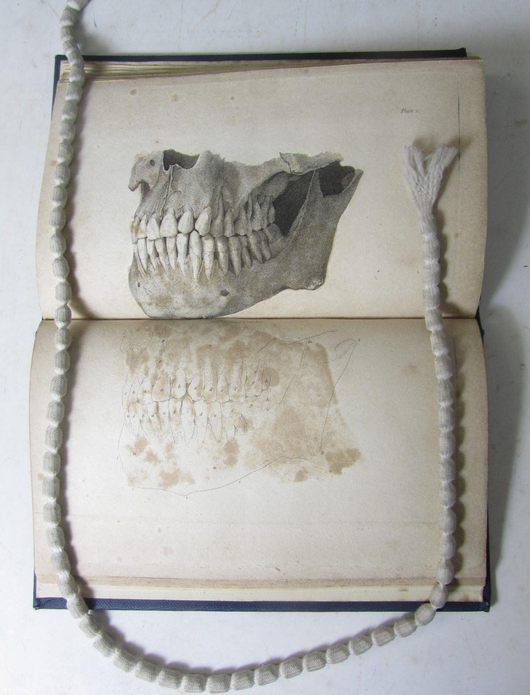 the bench by john fuller essay 1-16 of 31 results for neely fuller a popular essay on the structure, formation, and management of the teeth (classic reprint) oct 22, 2017 by john fuller paperback $957 $ 9 57 prime free shipping on eligible orders more buying choices $957 (6 used & new offers. the bench by john fuller essay 1-16 of 31 results for neely fuller a popular essay on the structure, formation, and management of the teeth (classic reprint) oct 22, 2017 by john fuller paperback $957 $ 9 57 prime free shipping on eligible orders more buying choices $957 (6 used & new offers.