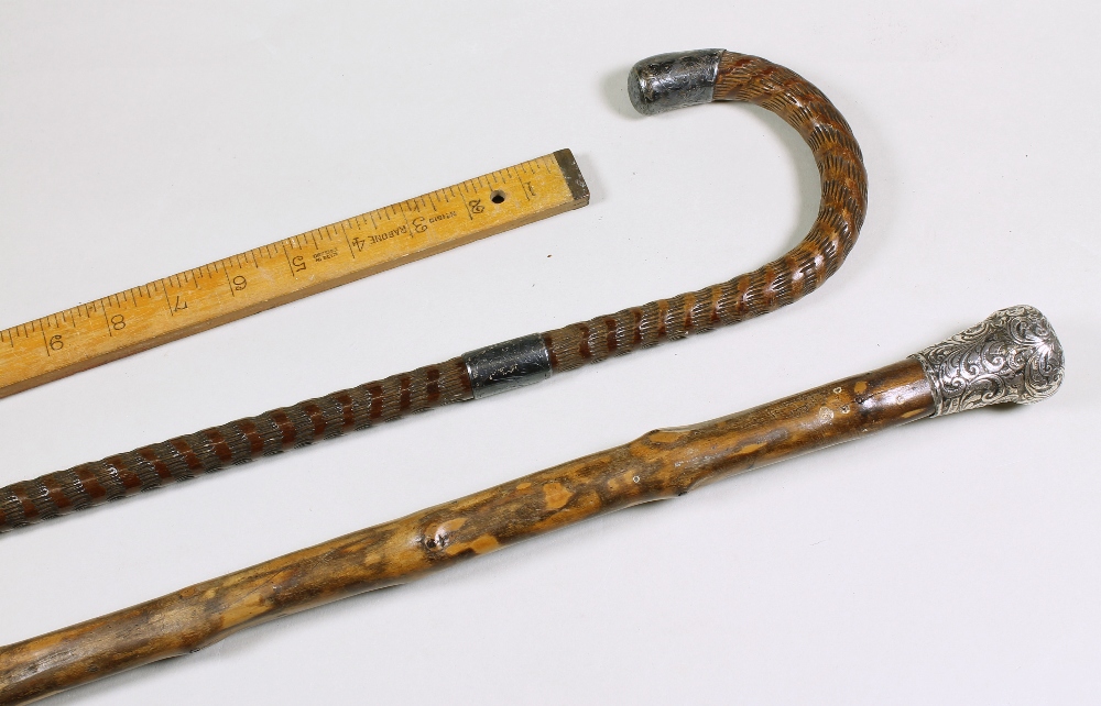 Silver topped Jersey cabbage stalk walking stick, a silver mounted carved wood walking stick and