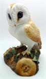 A Royal Crown Derby Barn Owl, M.E. Reynolds, with case