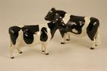 Beswick Friesian bull and cow (1439A/1362A), Champion Coddington Hilt Bar and Champion Claybury