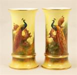Pair of Coalport limited edition hand decorated cylinder vases by Richard Budd, numbered 15 and 16