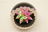 William Manson paperweight, centred with a butterfly alighting on a pink flower within a border of