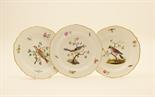 Three Meissen ornithological plates, hand decorated with jays and a thrush, insects and flowers,