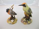 ROYAL CROWN DERBY BIRDS, 2 figures of Woodpecker and Bullfinch