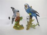 GOEBEL BIRD, figure of budgerigar, also similar Crown Staffordshire figure of wheatear
