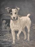 Thomas Blinks (1853-1910) British. Interior with a Terrier, Drypoint Etching, Published by Arthur