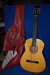 A cased guitar