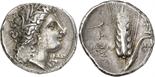 ANCIENT COINS. GREEK. Lucania, Metapontum (c.330-290 B.C.), Silver Stater, 7.88g, 4h. Head of