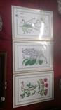 3 x Royal Worcester plaques