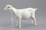 Isle of Man Shebeg Pottery White Goat