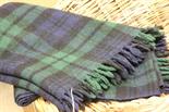 Carobes Blue and Green Tartan Rug