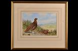 C. STANLEY TODD AN ORIGINAL FRAMED WATERCOLOUR ENTITLED `THE FAMOUS GROUSE` dated to 1988 and