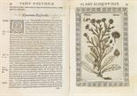 Colonna, F.,     Phytobasanos sive plantarum aliquot historia .. Accessit etiam piscium aliquot,