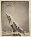 Alfred Kubin     1877 Leitmeritz/Böhmen - 1959 Zwickledt bei Wernstein am InnDer Adler. 1903.