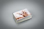 SILVER ENAMEL PILL BOX the hinged cover decorated with HMS.Victory in Portsmouth dockyards, modern