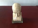 Phrenology bust, a doctors` gift.