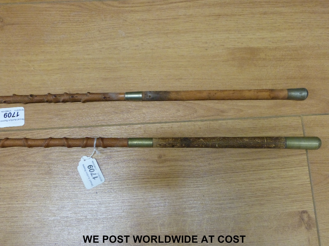 Two holly carriage driving whips