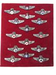 Good Selection of Taiwan Aircrew Wings plated and enamel examples include Pilot ... Senior Command