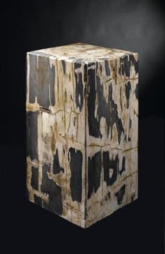 Dating petrified wood