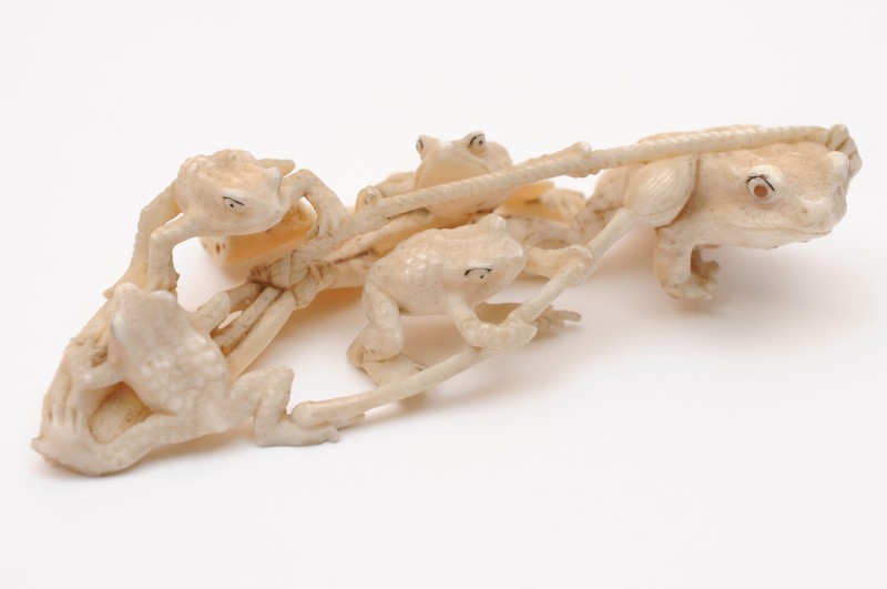 A Japanese carved ivory okimono in the form of five toads, the smaller toads with stained eyes,