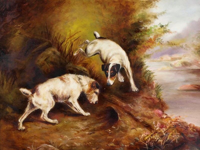 Followers of George Armfield - Terriers rabbiting - oil on board, 23 x 29cm.