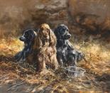 Cocker Pups. Oil on Panel. Supplied framed. Image area 20" x 24" Mick Cawston