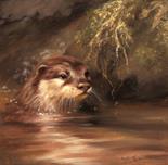 Otter. Oil on Panel. Supplied framed. Image area 13" x 13"  Mick Cawston