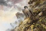 Falcon and Chicks. Oil on Canvas. Supplied framed. Image area 24" x 36"  Mick Cawston