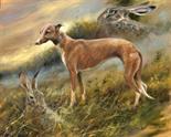 Whippet. Oil on Panel. Painted in 1998. Supplied framed. Image area 16" x 20" Mick Cawston