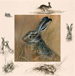 The Hare Mixed Media. Supplied framed. Image area 12" x 12". Framed size 23"" x 23"" Original of