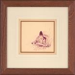 Fox Study. Pen and Ink. Supplied framed. Image area 7" x 7". Framed size 17" x 17".  Mick Cawston