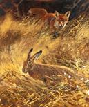 Fox and Hare Oil on Panel. Supplied framed. Image area 24" x 20"  Mick Cawston