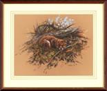 Fox Cub Study. Pastel painting. Image area 16" x 20". Framed size 24" x 28".  Mick Cawston