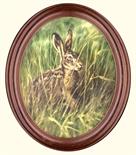 Oval Hare. Oil on Canvas, oval painting in a bespoke oval frame. Painted C 1983 Image area 19" x