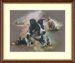 Border Collies. Pastel. Image area 19" x 25". Supplied framed. Framed size 29" x 35".  Mick Cawston