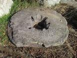 A CIRCULAR CUT LIMESTONE MILL WHEEL, 
with open centre, chipped, 52in (132cm) approx. (as is). (1)