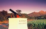 The Kanonkop Lot          - A wonderful 10 year vertical tasting of Paul Sauer. A unique ‘safari’