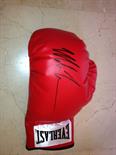 TYSON MIKE: (1966- ) American Boxer, World Heavyweight Champion 1986-90, 1996. A red Everlast boxing
