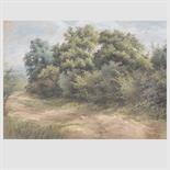 JAMES THOMAS LINNELL (BRITISH, 1820-1905) TREES BY A SANDY PATH pastel 25.5cm x 34cm; 10in x 13 1/