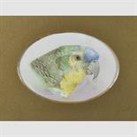 C. WALTER (BRITISH, FL.1900) A PAIR OF PARROT PORTRAITS the first: signed and dated 2.8.06 l.r; the