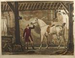 SCUOLA INGLESE XX Sec. ""Cheval de retour de la chasse"", stampa entro cornice 50x62 cm. Offerta