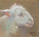 GIULIO ARISTIDE SARTORIO, COPIA DA Roma 1860 - 1932 "Testa di agnello", pastello su carta, entro