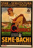 Seme - Bachi Quirici, Voghera Scolari - Litografia - 1927 - Colonnello, Milano - cm. 49x34 - QualitÃ