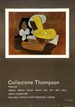 Collezione Thompson Picasso - Offset - 1961 - Photo-Offset Smeets, Netherlands - cm. 138x97 -