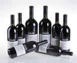 ? Barolo Sperss, Gaja Langhe 1997 (6 bts) RP 99/100 1 bt etichetta lievemente strappata. 1 bt